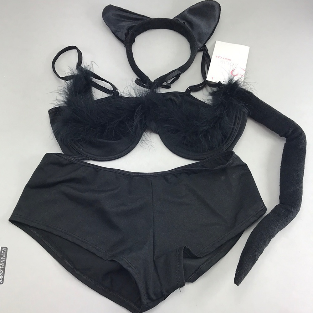 4pc Sexy Cat Lingerie Costume Bra Panty Ears Sz L